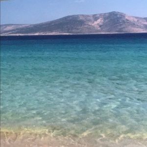 Meet your Posher, Dimitra